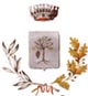 coat of arm