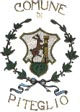 coat of arm