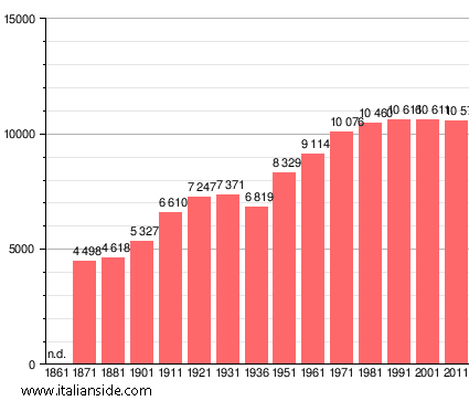 Population statistics for Tolmezzo