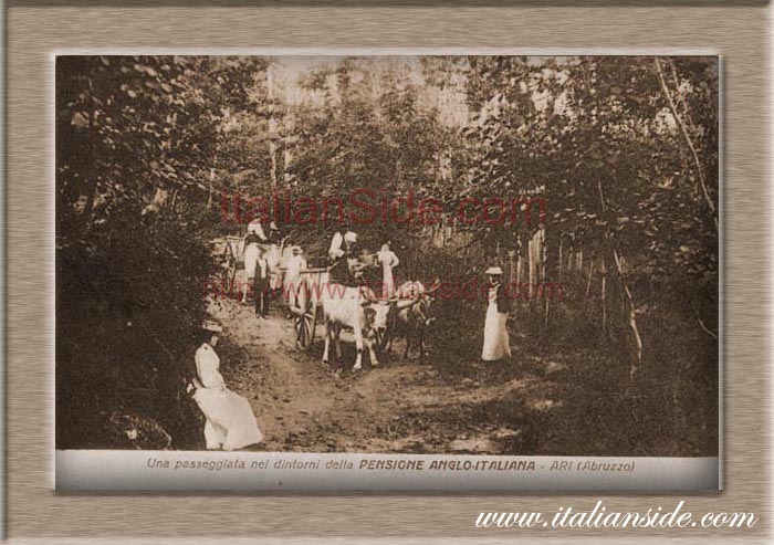 old picture from Ari