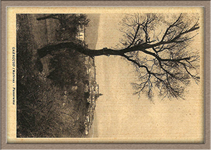 Historical images from Ferrandina area and Basilicata