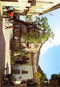 Historical images from Guardia Perticara area and Basilicata