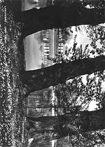 Historical images from Balvano area and Basilicata