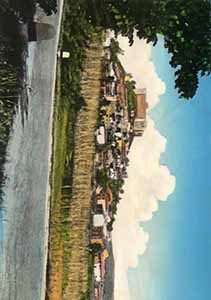 Historical images from Montemilone area and Basilicata