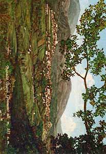 Historical images from Castelgrande area and Basilicata