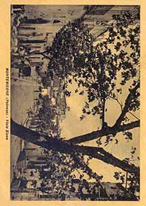 Historical images from Ginestra area and Basilicata