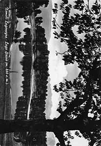 Historical images from Nemoli area and Basilicata