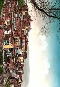 Historical images from Pietragalla area and Basilicata