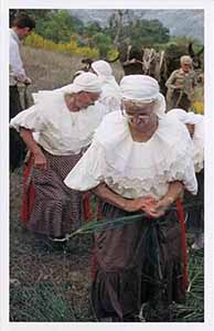 Historical images from San Paolo Albanese area and Basilicata