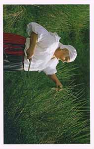 Historical images from Sasso di Castalda area and Basilicata