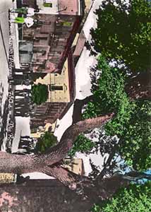 Historical images from San Chirico Raparo area and Basilicata