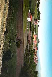 Historical images from Campomaggiore area and Basilicata