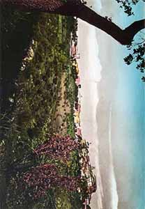 Historical images from Picerno area and Basilicata