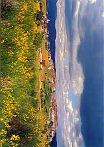 Historical images from Teana area and Basilicata