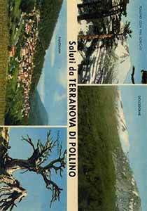 Historical images from Terranova di Pollino area and Basilicata