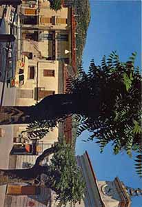 Historical images from Tramutola area and Basilicata