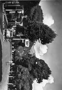 Historical images from Trecchina area and Basilicata