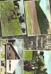 Historical images from Accettura area and Basilicata