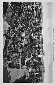 Historical images from Policoro area and Basilicata