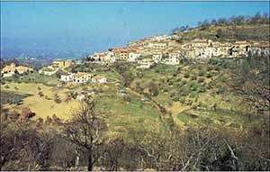 Historical images from Polistena area and Calabria