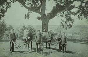 Historical images from San Procopio area and Calabria