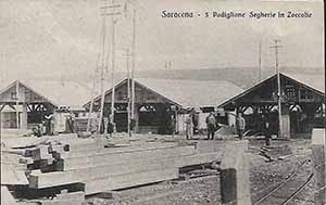 Historical images from San Pietro di Caridà area and Calabria