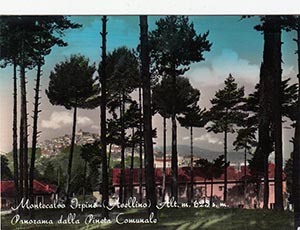 Historical images from Cicerale area and Campania