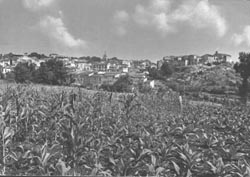 Historical images from Celle di Bulgheria area and Campania