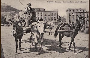 Historical images from Pertosa area and Campania