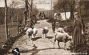 Historical images from Cologno al Serio area and Lombardia