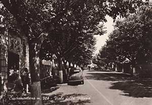 Historical images from Monte Vidon Corrado area and Marche