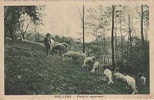 Historical images from Caprile area and Piemonte