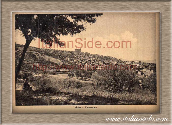 old picture from Alia