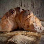 Bread of Matera